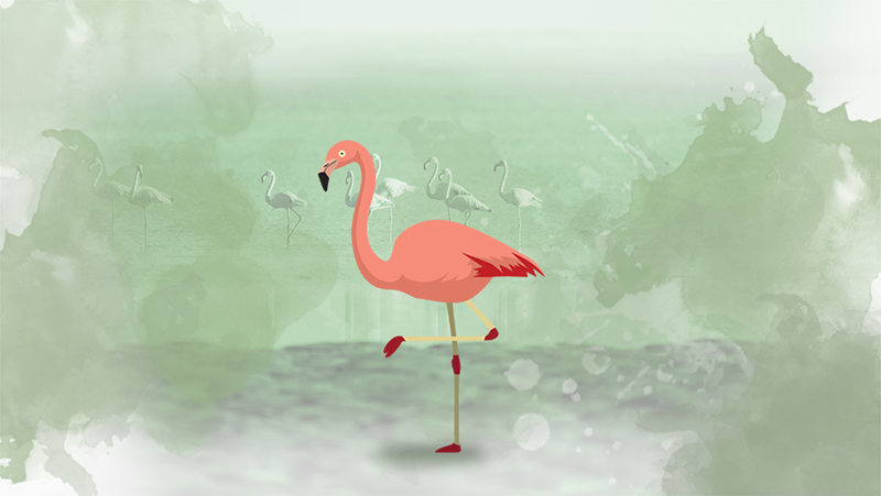 Flamingo