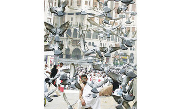 Pigeons of Grand Mosque spreading peace