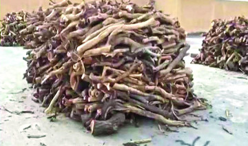 100 tons of firewood seized