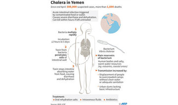 UN: Yemen unlikely to get cholera 
vaccine as first planned