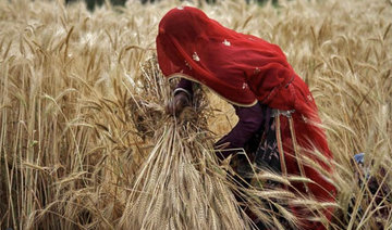 Indian farmers bury themselves to protest land acquisition deal