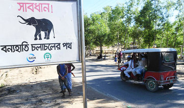 Wild elephants trample to death four Rohingya refugees in Bangladesh