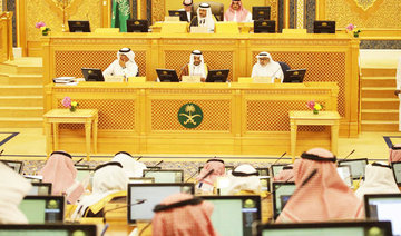 Saudi Shoura urges lower airfares