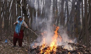 Kashmir bans burning of leaves as India deals with worsening pollution