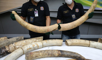 Thailand seizes large elephant tusks worth over $450,000