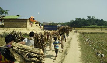 Elephant attacks in Bangladesh leave Rohingya refugees fearing for their lives