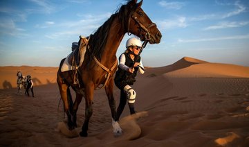 Morocco desert stallion race pushes limits of endurance