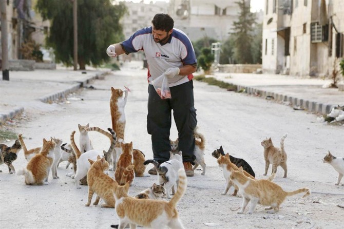 “Cats Man of Aleppo” turns home into shelter