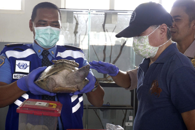 Indonesia arrests Japanese man in reptile smuggling