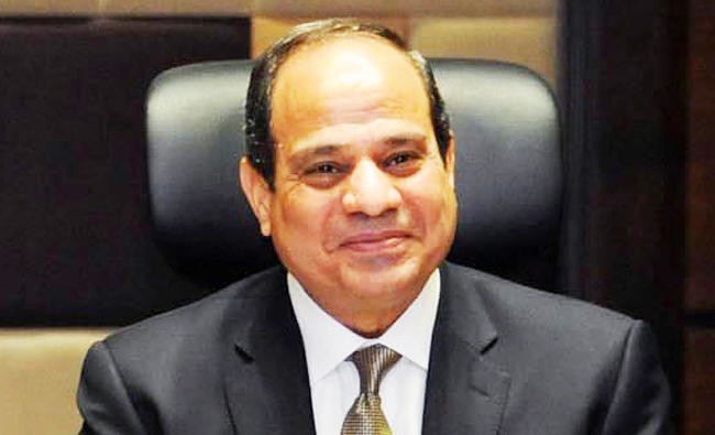 I didn’t mean El-Sisi, says Egyptian MP in term limits row