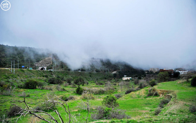 Leisurely walk in Al-Baha park turns into a nightmare