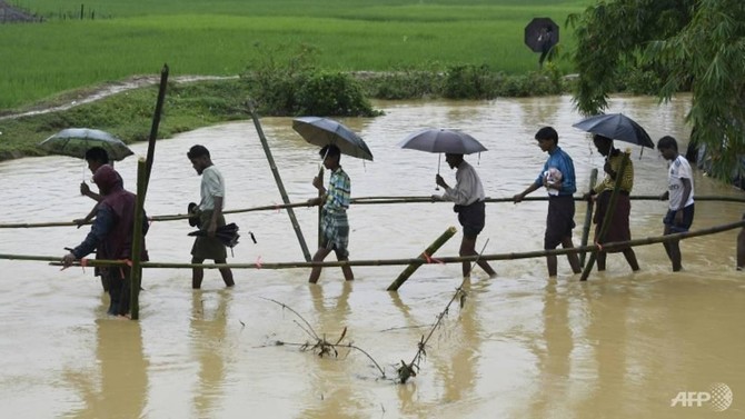 Wild elephants trample two Rohingya refugees in Bangladesh — police