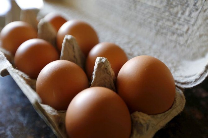 Japan scientists grow drugs in chicken eggs