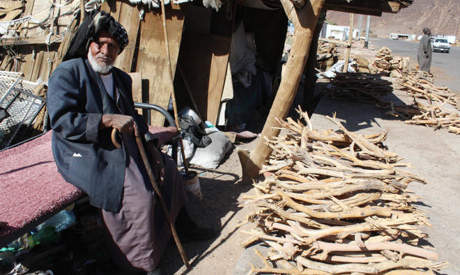 Firewood, coal market in Madinah thriving during long winter nights