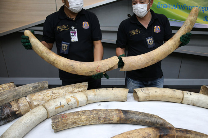 Thailand seizes large elephant tusks worth over $450,000