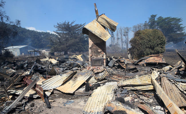 Australian wildfires destroy homes, kill cattle as hundreds of people flee