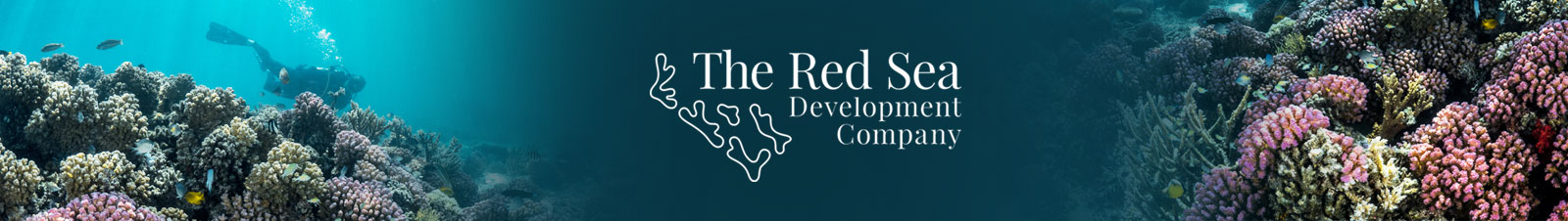 The Red Sea Development Company